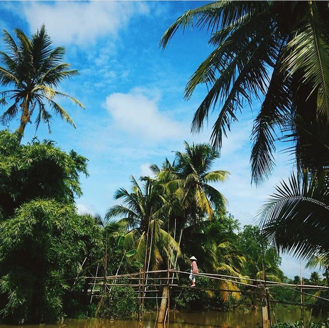 Thu sang, hãy thử quên lá vàng miền Bắc để về với miền Tây đón mùa nước nổi - Ảnh 50.