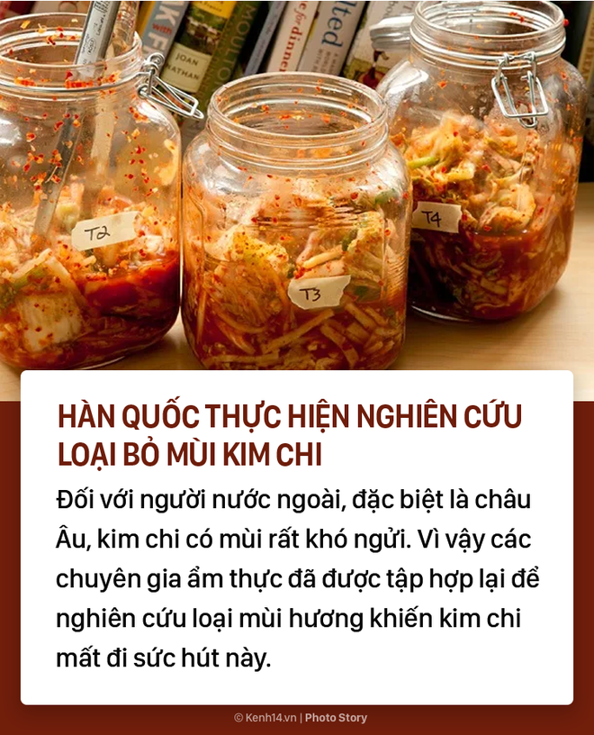 Kim chi và 7 sự thật thú vị không phải ai cũng biết - Ảnh 4.