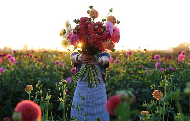 Cuộc sống yên bình và ngọt ngào của cô gái từ bỏ công việc văn phòng nhàm chán để chăm sóc cánh đồng hoa đẹp như cổ tích - Ảnh 28.