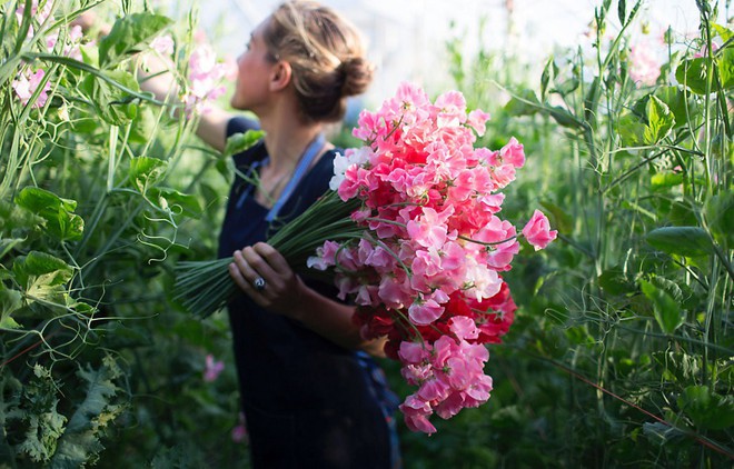 Cuộc sống yên bình và ngọt ngào của cô gái từ bỏ công việc văn phòng nhàm chán để chăm sóc cánh đồng hoa đẹp như cổ tích - Ảnh 30.
