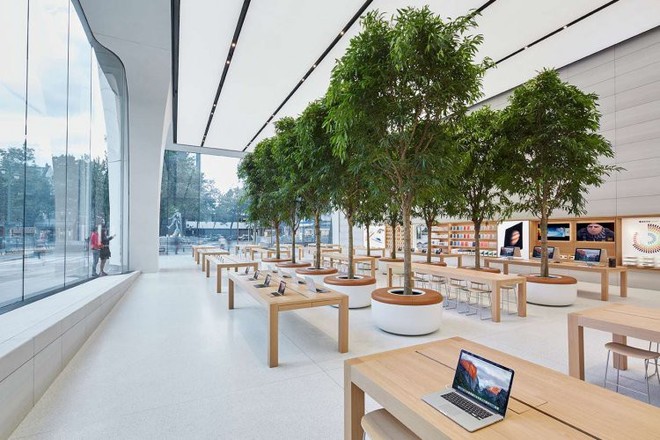 Bí mật khiến ai cũng phải bất ngờ về những chiếc bàn gỗ trong tất cả cửa hàng Apple Store - Ảnh 2.