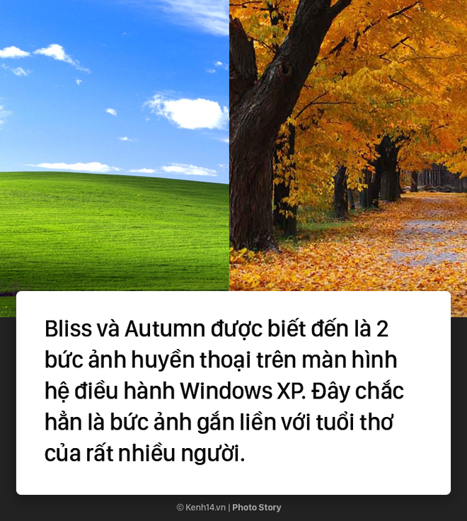 Mời bạn tải ba bức ảnh nền điện thoại của tác giả bức ảnh nền Windows