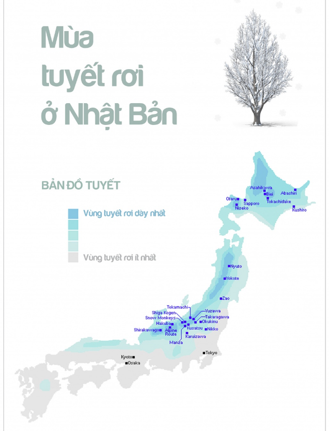 Đã tìm ra nguyên nhân bão tuyết bất thường tấn công Nhật Bản, ít nhất 9 người bị thương - Ảnh 2.