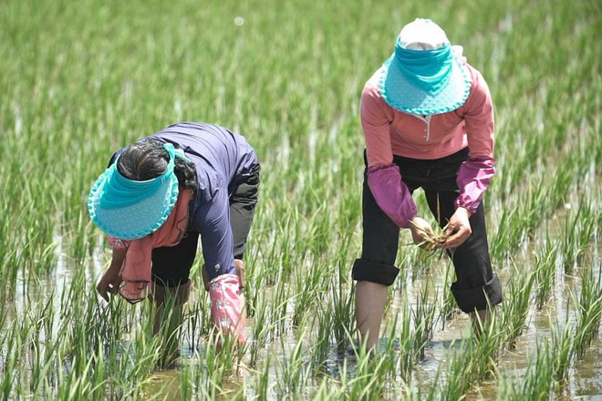 Thước phim về ngọn núi linh thiêng và cuộc sống của người dân Triều Tiên dưới góc nhìn Mỹ - Ảnh 1.