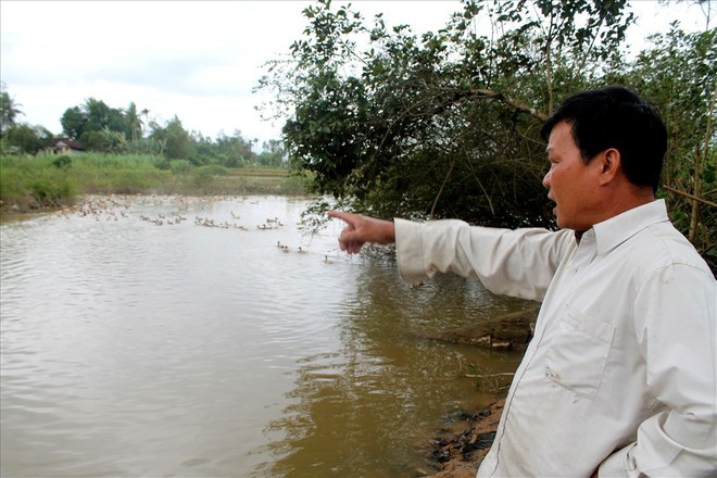 Quảng Ngãi: Xuất hiện cá chết hàng loạt trên sông Bàu Giang - Ảnh 2.