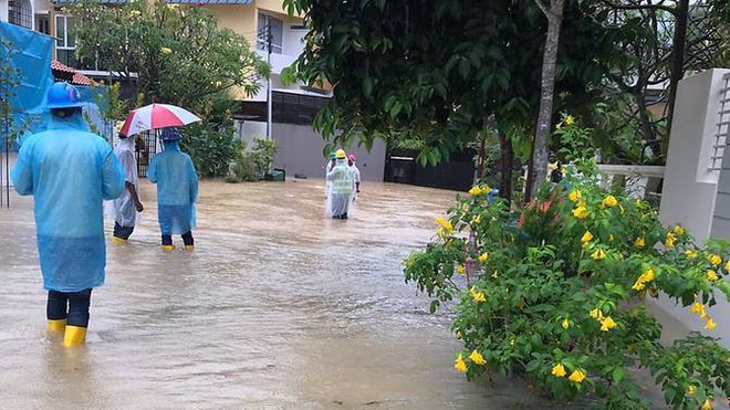 Châu Mỹ thì bão tuyết khủng khiếp, Úc đương đầu nắng nóng lịch sử còn Singapore cũng chịu cảnh lụt lội nghiêm trọng - Ảnh 1.