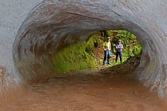 Phát hiện hang động khổng lồ bí ẩn, các nhà địa chất ngạc nhiên khi biết chủ nhân thực sự của nó - Ảnh 1.