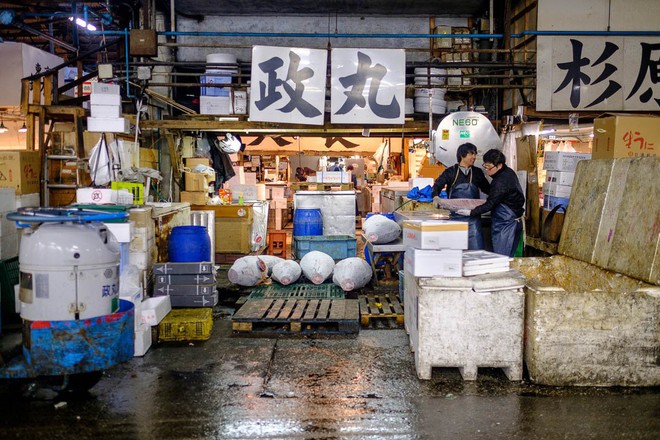 Trong chợ cá lớn nhất thế giới tại Nhật Bản: Mỗi con cá ngừ được bán với giá bằng vài ngôi nhà Nhật Bản - Ảnh 1.