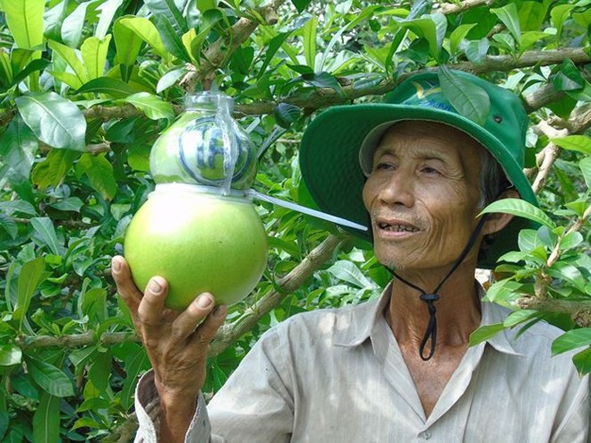 Trái cây miền Tây in chữ Phúc - Lộc - Thọ đắt hàng trước Tết - Ảnh 1.