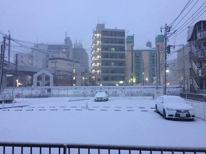 Những hình ảnh rùng mình trong bão tuyết kỷ lục tại Tokyo: Hàng trăm chuyến bay bị hủy, xe đạp đóng băng ngoài trời - Ảnh 2.