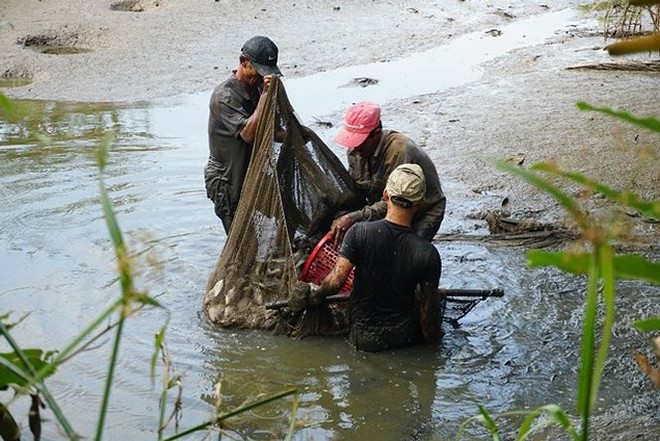 Xem người Sài Gòn thả lưới, bắt cá dịp giáp Tết - Ảnh 11.