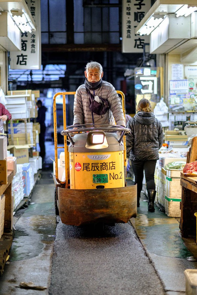 Trong chợ cá lớn nhất thế giới tại Nhật Bản: Mỗi con cá ngừ được bán với giá bằng vài ngôi nhà Nhật Bản - Ảnh 15.