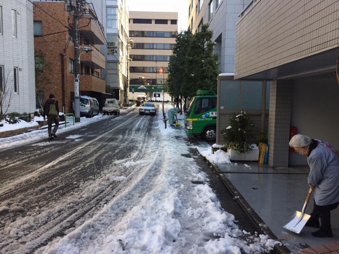 Những hình ảnh rùng mình trong bão tuyết kỷ lục tại Tokyo: Hàng trăm chuyến bay bị hủy, xe đạp đóng băng ngoài trời - Ảnh 17.