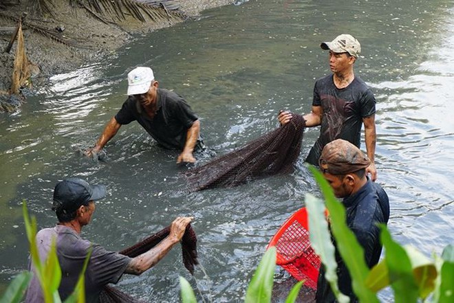 Xem người Sài Gòn thả lưới, bắt cá dịp giáp Tết - Ảnh 3.