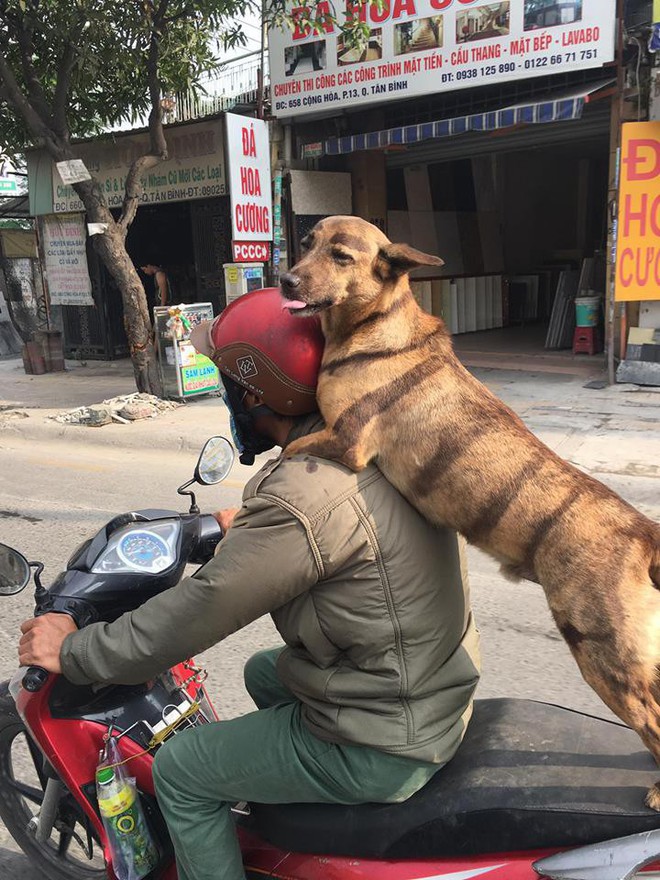 Tổng hợp những con boss cứ thích bám càng sen đi khắp nơi mà không hề ngần ngại - Ảnh 3.