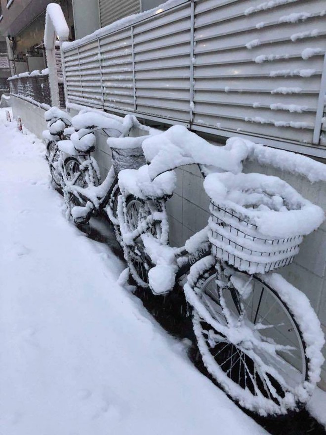 Những hình ảnh rùng mình trong bão tuyết kỷ lục tại Tokyo: Hàng trăm chuyến bay bị hủy, xe đạp đóng băng ngoài trời - Ảnh 3.