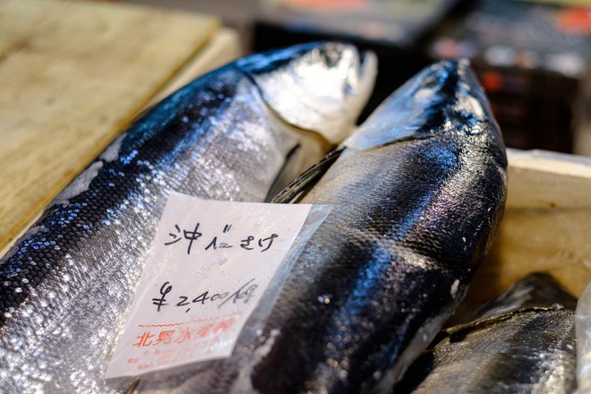 Trong chợ cá lớn nhất thế giới tại Nhật Bản: Mỗi con cá ngừ được bán với giá bằng vài ngôi nhà Nhật Bản - Ảnh 4.