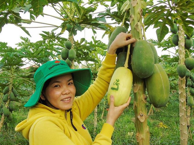 Trái cây miền Tây in chữ Phúc - Lộc - Thọ đắt hàng trước Tết - Ảnh 4.