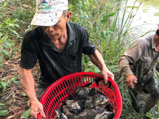 Xem người Sài Gòn thả lưới, bắt cá dịp giáp Tết - Ảnh 7.