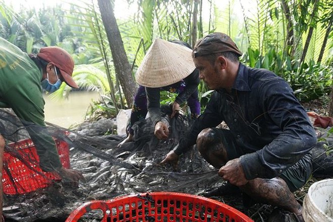 Xem người Sài Gòn thả lưới, bắt cá dịp giáp Tết - Ảnh 8.