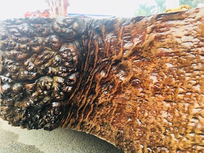 Sập gỗ nu cẩm lai giá 3 tỉ đồng ở Hà Nội  - Ảnh 9.