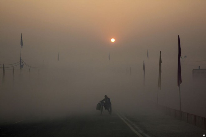24h qua ảnh: Đ&agrave;n c&oacute;c cưỡi tr&ecirc;n lưng trăn đi tr&aacute;nh lũ - Ảnh 9.