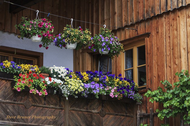 Những ngôi nhà 7000 năm tuổi nổi bật giữa cảnh sắc non nước tuyệt đẹp - Ảnh 14. Những ngôi nhà 7000 năm tuổi nổi bật giữa cảnh sắc non nước tuyệt đẹp - Ảnh 14.