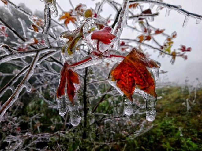 Lạng Sơn bác tin cấm ôtô lên khu du lịch Mẫu Sơn - Ảnh 1.