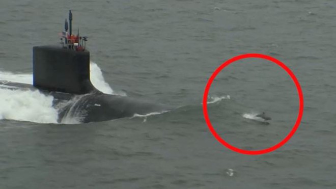 Video: Cảnh tượng cá heo đua tốc độ với tàu ngầm Mỹ - Ảnh 1.