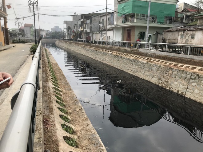 Nước kênh hào Thành cổ Vinh đen như mực, cá chết hàng loạt, dân lo sợ cầu cứu - Ảnh 4.