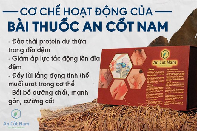 7 Bài thuốc chữa thoát vị đĩa đệm cột sống cổ bằng đông y hiệu quả - Ảnh 4.