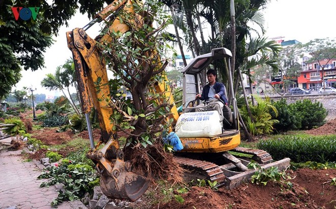 Ngày đêm chuyển cây, xén dải phân cách mở rộng vành đai 2, 3 ở Hà Nội - Ảnh 5.