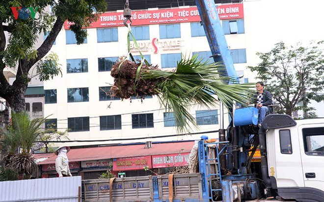 Ngày đêm chuyển cây, xén dải phân cách mở rộng vành đai 2, 3 ở Hà Nội - Ảnh 9.