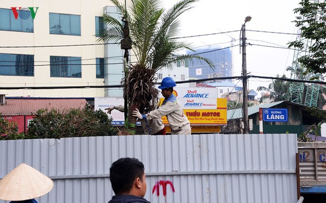 Ngày đêm chuyển cây, xén dải phân cách mở rộng vành đai 2, 3 ở Hà Nội - Ảnh 10.