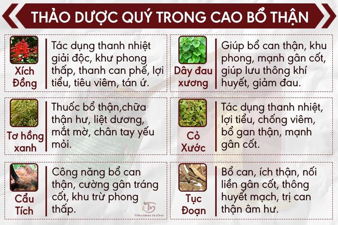 Phương thuốc bổ thận tráng dương hiệu nghiệm từ thiên nhiên - Ảnh 3.