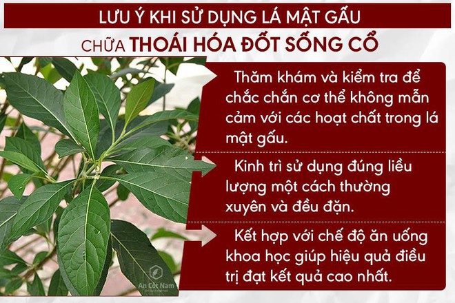  Cách điều trị thoái hóa đốt sống cổ bằng thuốc nam chuyên gia khuyên dùng - Ảnh 2.