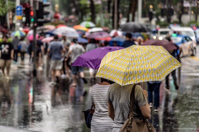 9 lý do lối sống của ‘thánh nữ dọn nhà’ Marie Kondo không thể áp dụng ở Singapore - Ảnh 1.