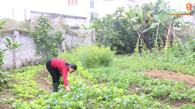 Về thăm nhà Văn Hậu, phát hiện món quà đầu tiên em út ĐT Việt Nam mua cho cha mẹ bằng đồng lương kiếm được - Ảnh 11.