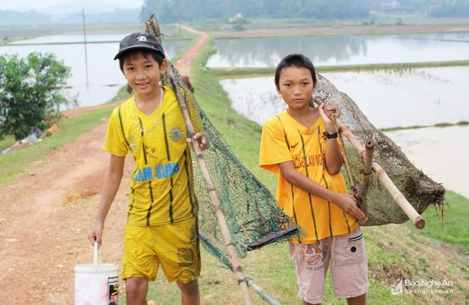 Mục sở thị những kiểu săn cua độc đáo ở Nghệ An - Ảnh 4.