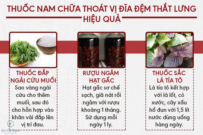 Chữa thoát vị đĩa đệm cột sống thắt lưng bằng thuốc nam thế nào? Bác sĩ giải đáp - Ảnh 2.