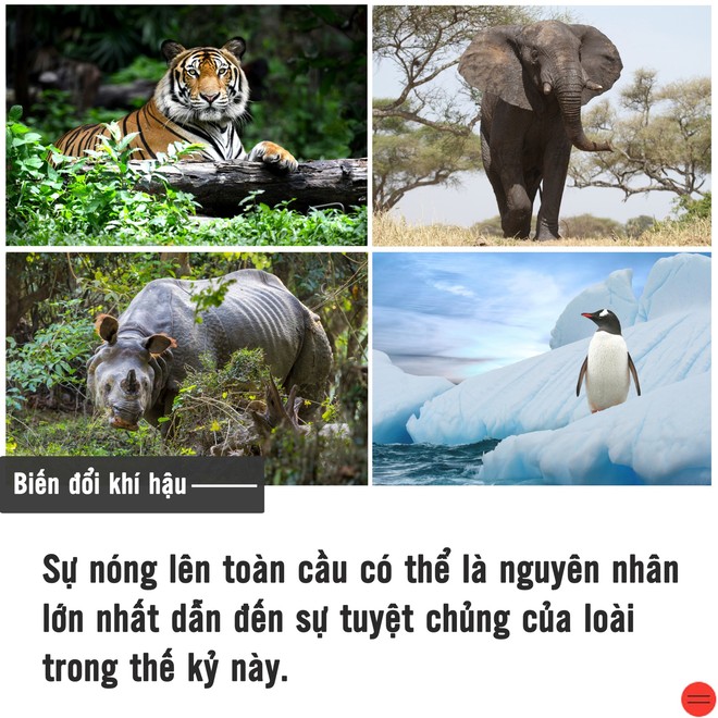 Biến đổi khí hậu đang tàn phá Trái đất - Ảnh 2.