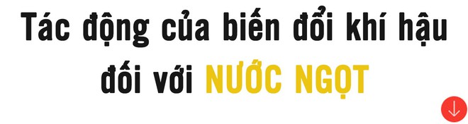 Biến đổi khí hậu đang tàn phá Trái đất - Ảnh 9.