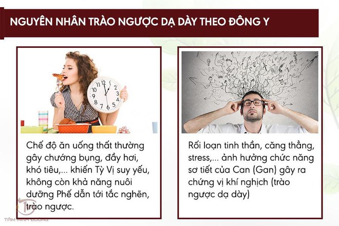 Nguyên nhân trào ngược dạ dày theo Đông Y