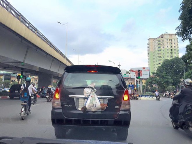 Hai con gà được đóng bỉm trẻ em và lý do cực chẳng đã đằng sau khiến nhiều người bật cười - Ảnh 2.