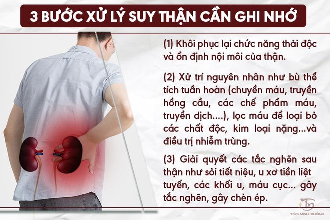 Suy thận có chữa được không? Các biện pháp trị suy thận an toàn, hiệu quả - Ảnh 1.