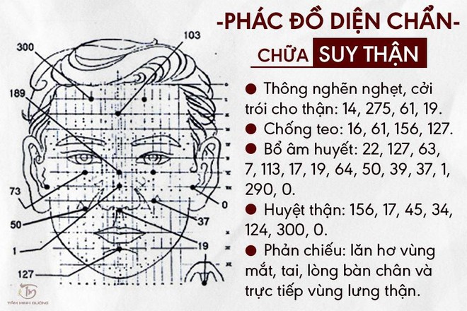 Suy thận có chữa được không? Các biện pháp trị suy thận an toàn, hiệu quả - Ảnh 2.