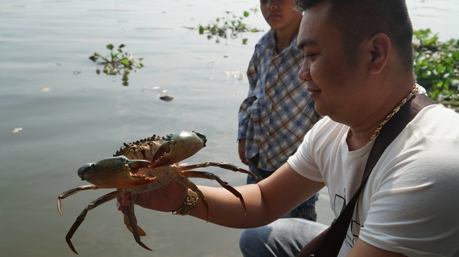 Người Sài Gòn mua cua mang đến chùa phóng sinh ngày ông Công ông Táo  - Ảnh 5.