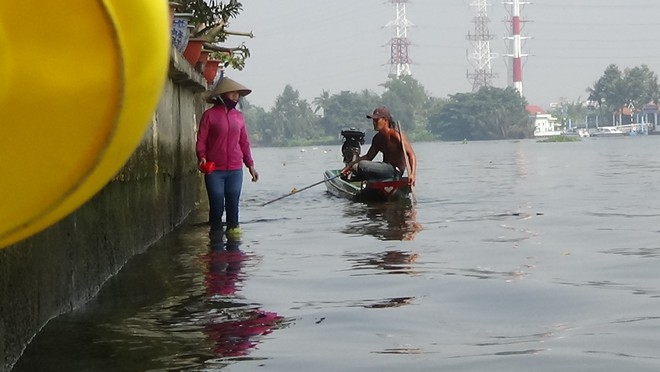 Tận mắt rùa bị chích điện bắt lại khi vừa được thả, dân phải chi tiền để cá được phóng sinh - Ảnh 10.