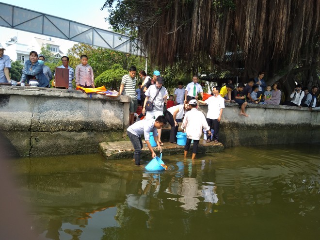 Tận mắt rùa bị chích điện bắt lại khi vừa được thả, dân phải chi tiền để cá được phóng sinh - Ảnh 3.