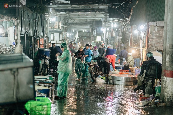 Ảnh, clip: Chợ cá lớn nhất Hà Nội nhộn nhịp từ tờ mờ sáng ngày tiễn ông Công ông Táo về trời - Ảnh 2.